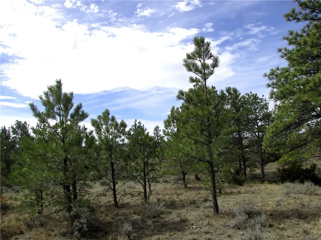 3808 Moon Creek Road Miles City MT 59301