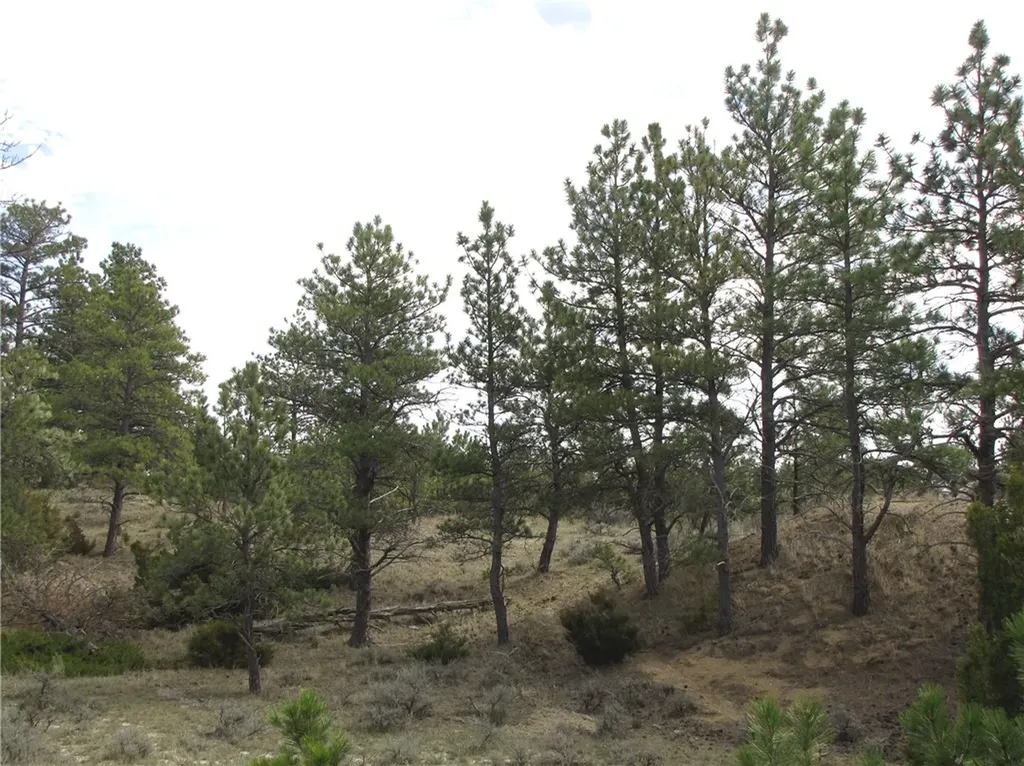 3808 Moon Creek Road Miles City MT 59301