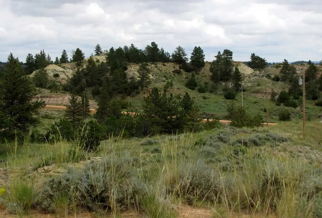 3808 Moon Creek Road Miles City MT 59301