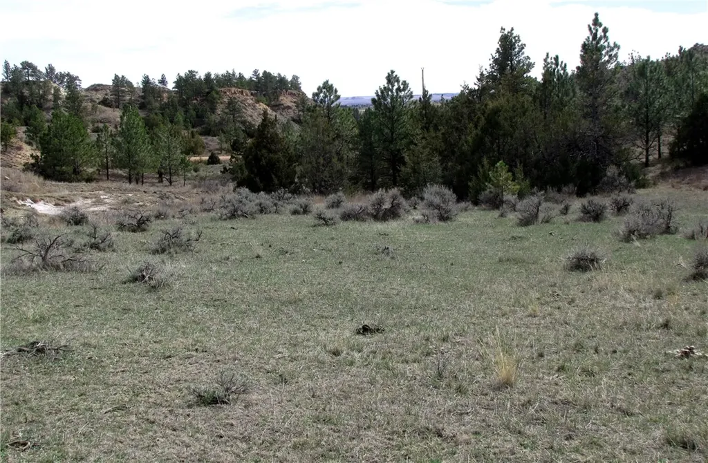 3808 Moon Creek Road Miles City MT 59301