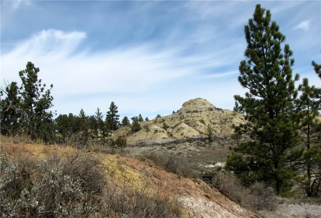 3808 Moon Creek Road Miles City MT 59301