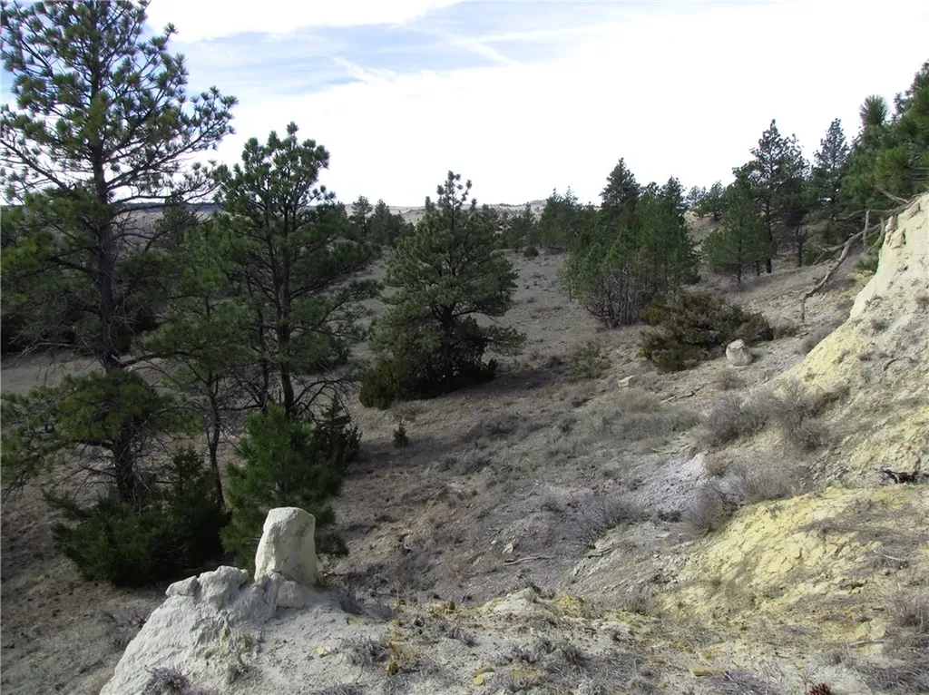 3808 Moon Creek Road Miles City MT 59301