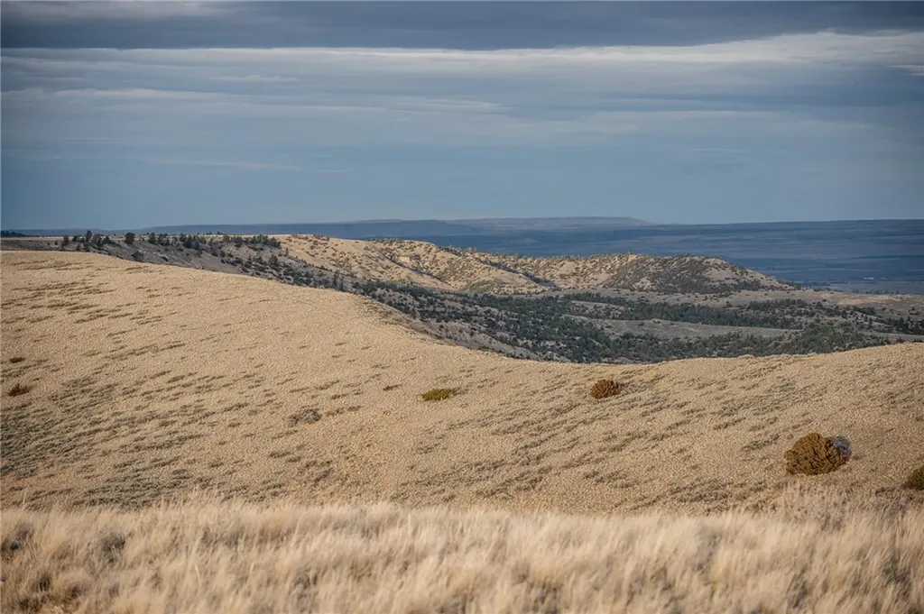 Tbd Elbow Creek Road Roberts MT 59070
