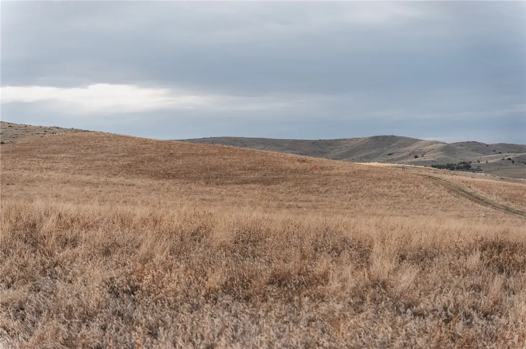 Tbd Elbow Creek Roberts MT 59070