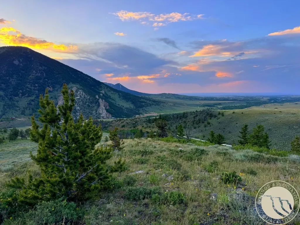 Tbd Howell Gulch Road Red Lodge MT 59068