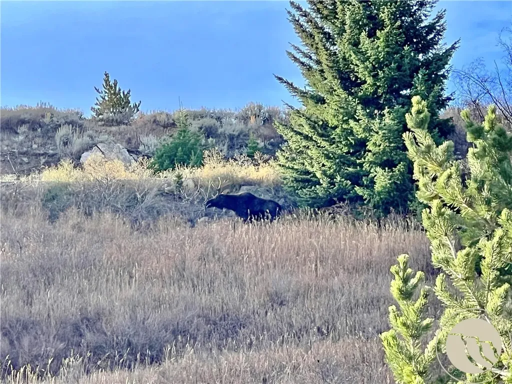 Tbd Howell Gulch Road Red Lodge MT 59068