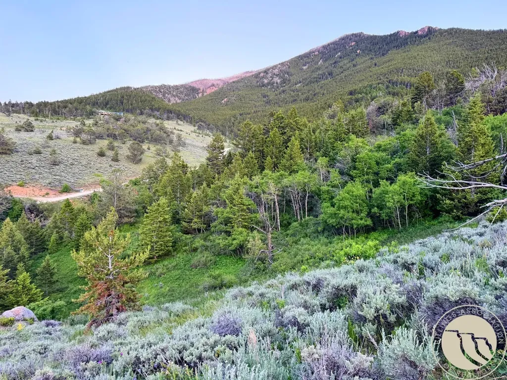 Tbd Howell Gulch Road Red Lodge MT 59068