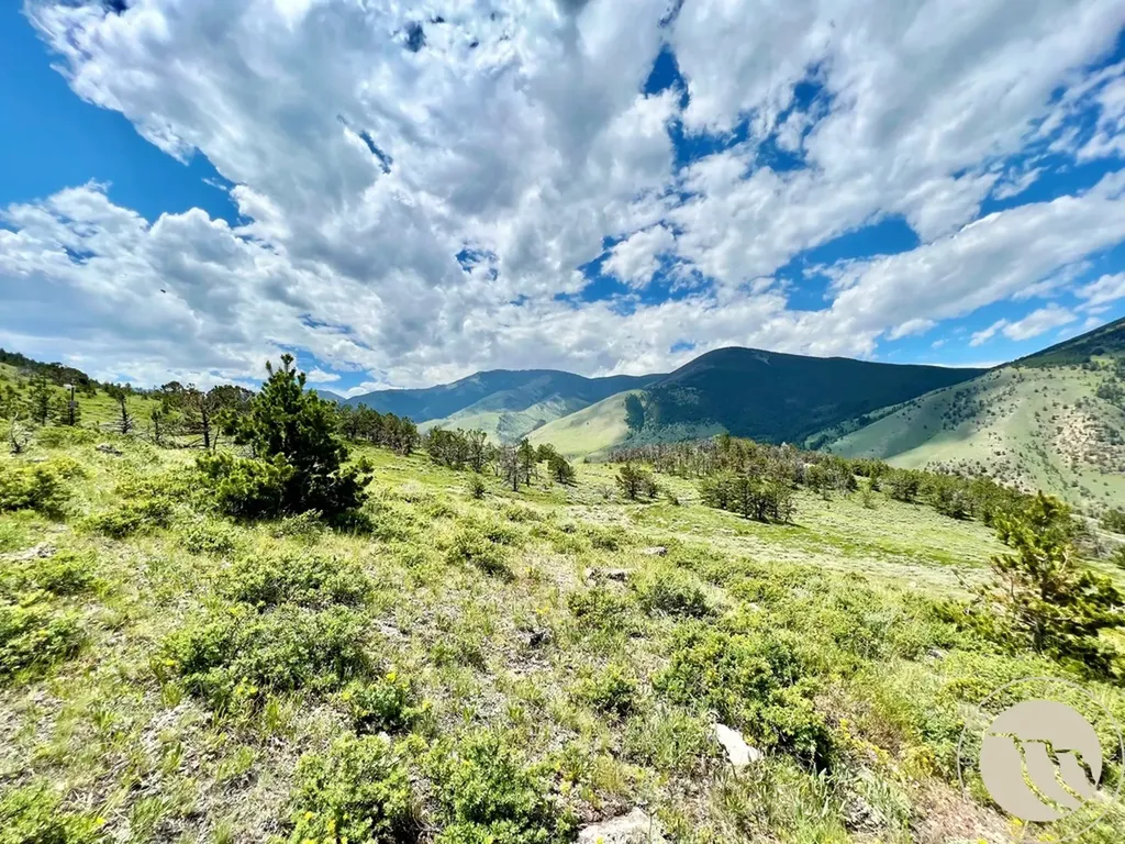 Tbd Howell Gulch Road Red Lodge MT 59068