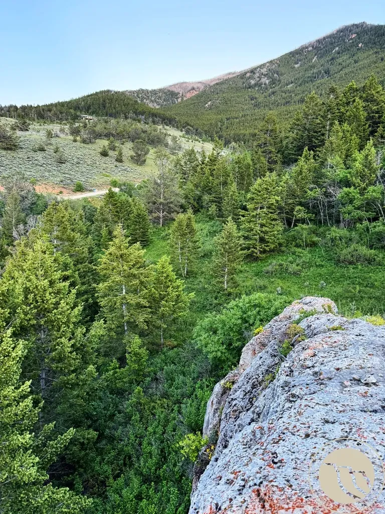 Tbd Howell Gulch Road Red Lodge MT 59068