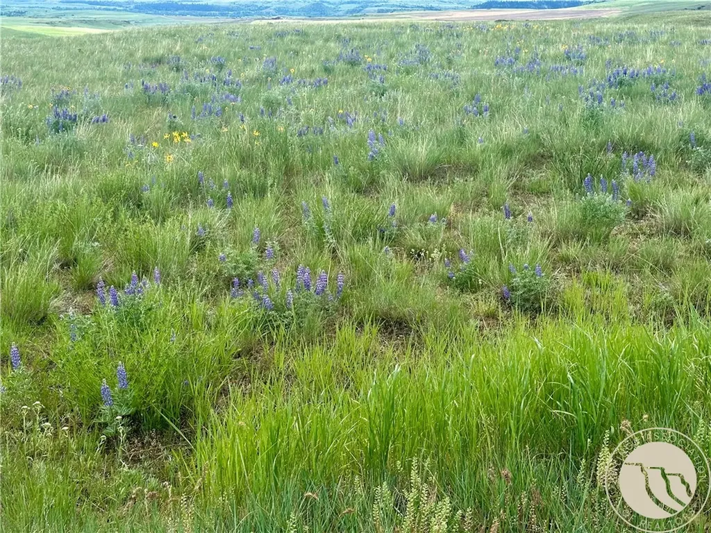 15.9 Ac Buck Creek Road Absarokee MT 59001