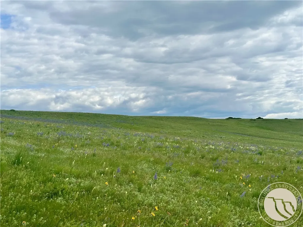 15.9 Ac Buck Creek Road Absarokee MT 59001