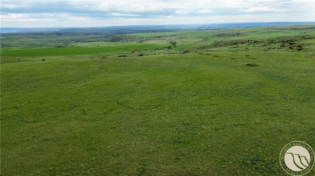 15.9 Ac Buck Creek Road Absarokee MT 59001