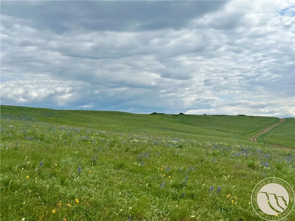 15.9 Ac Buck Creek Road Absarokee MT 59001
