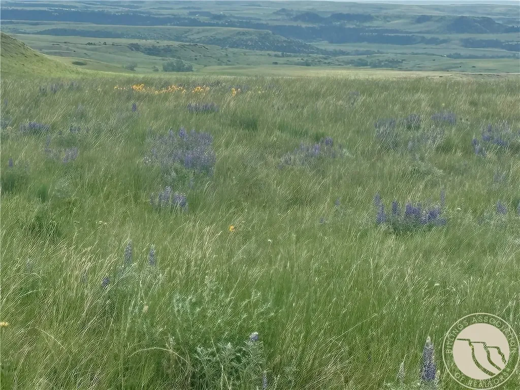 15.9 Ac Buck Creek Road Absarokee MT 59001