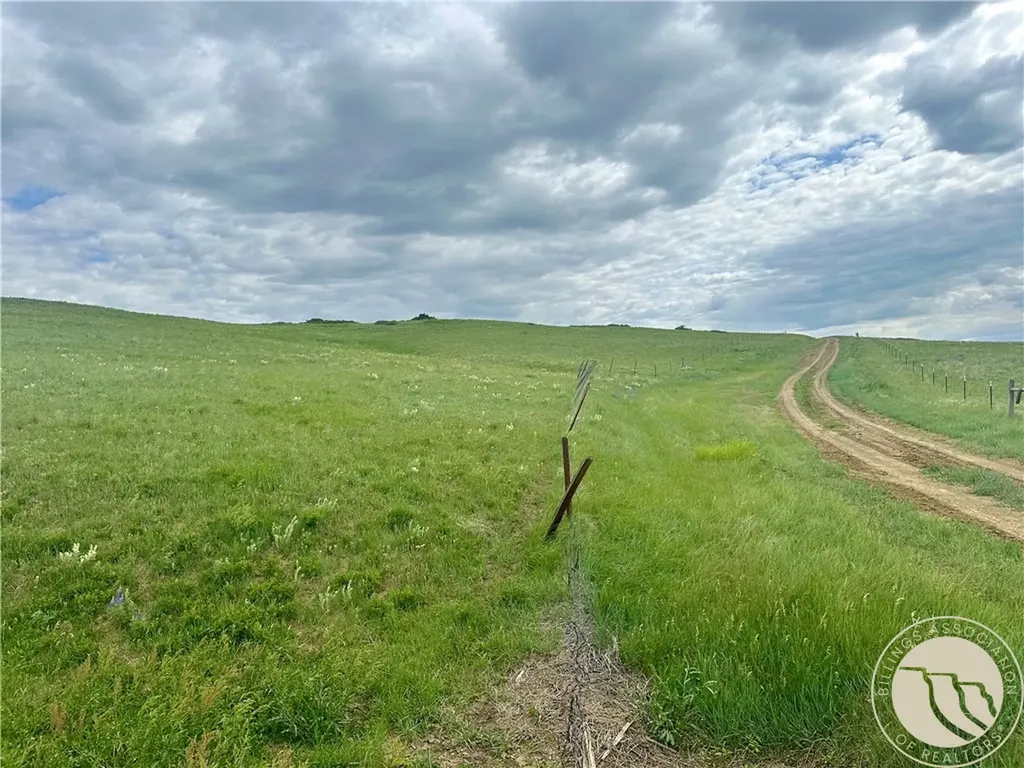 15.9 Ac Buck Creek Road Absarokee MT 59001