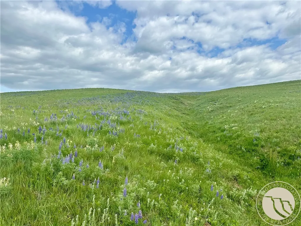 15.9 Ac Buck Creek Road Absarokee MT 59001
