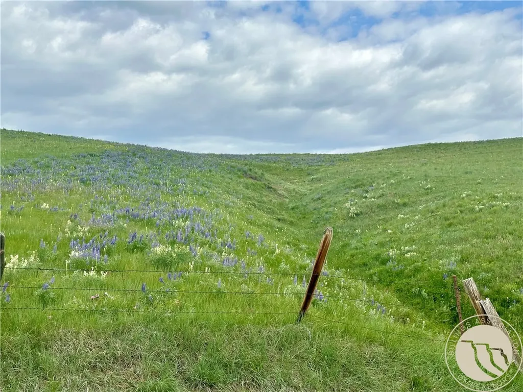 15.9 Ac Buck Creek Road Absarokee MT 59001