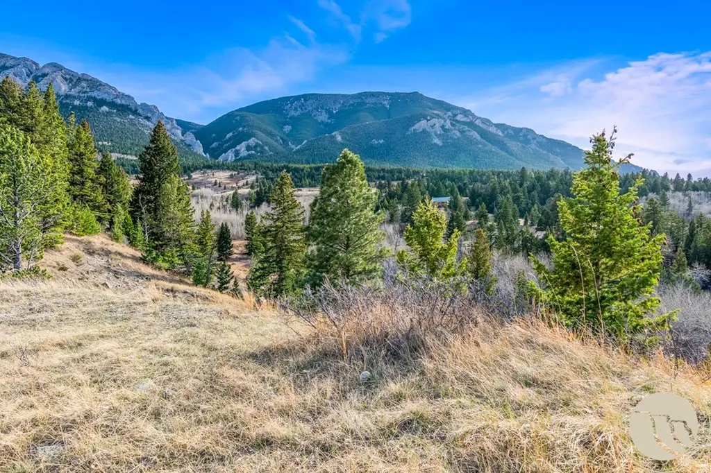 23 Cheyenne Trail Nye MT 59061