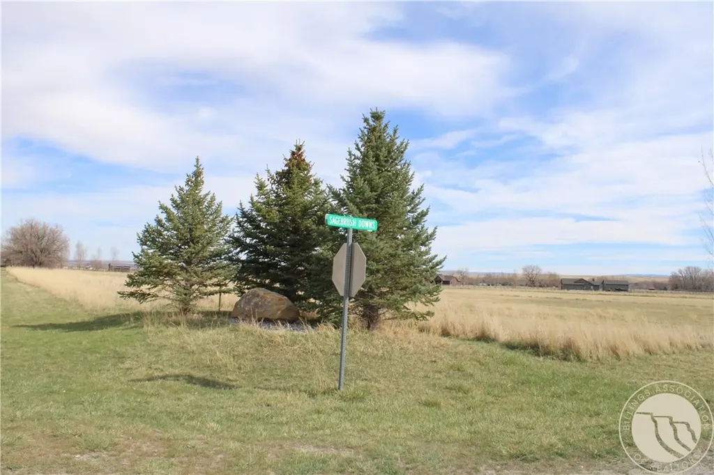 Lot 29a Sagebrush Downs Park City MT 59063