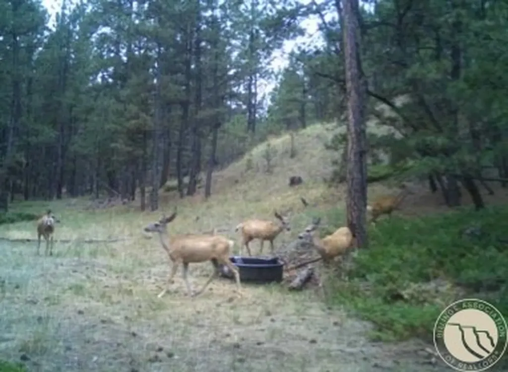 2786 79 Trail Road Other MT 59471