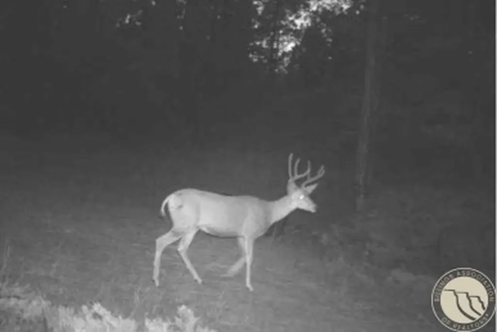 2786 79 Trail Road Other MT 59471