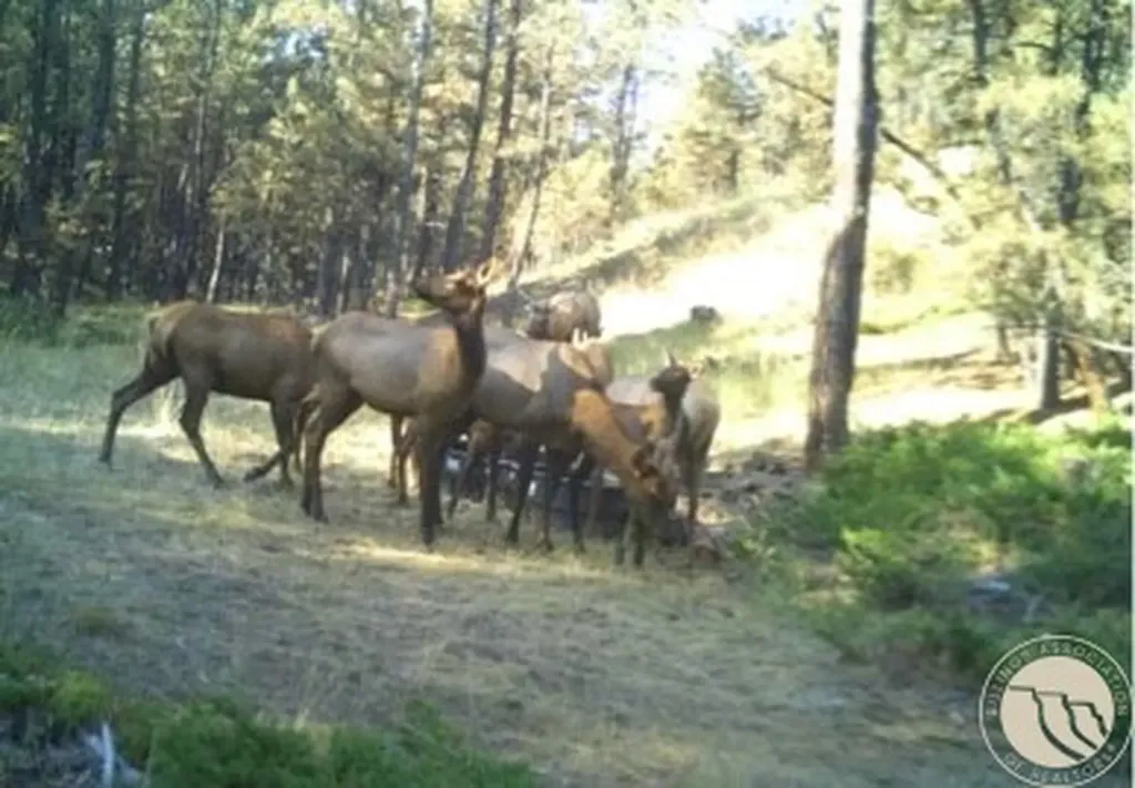 2786 79 Trail Road Other MT 59471