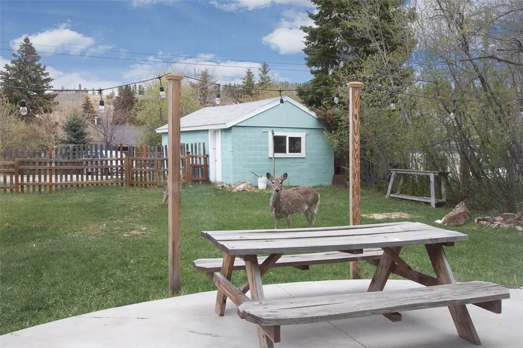314 N Platt Avenue Red Lodge MT 59068