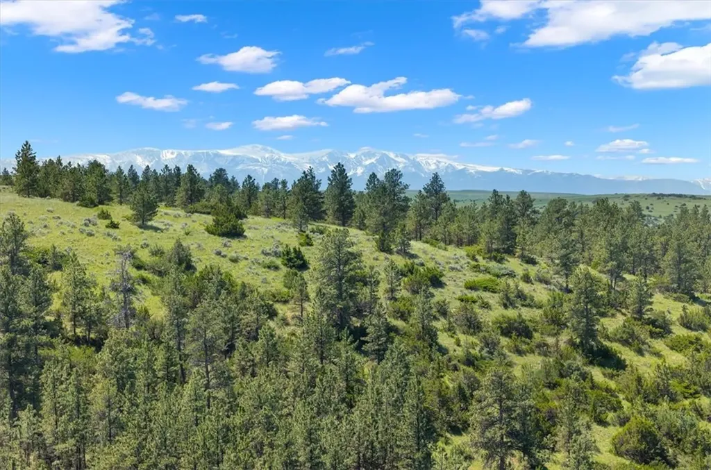 23 Beartooth Lane Columbus MT 59019