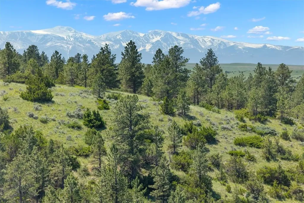 23 Beartooth Lane Columbus MT 59019