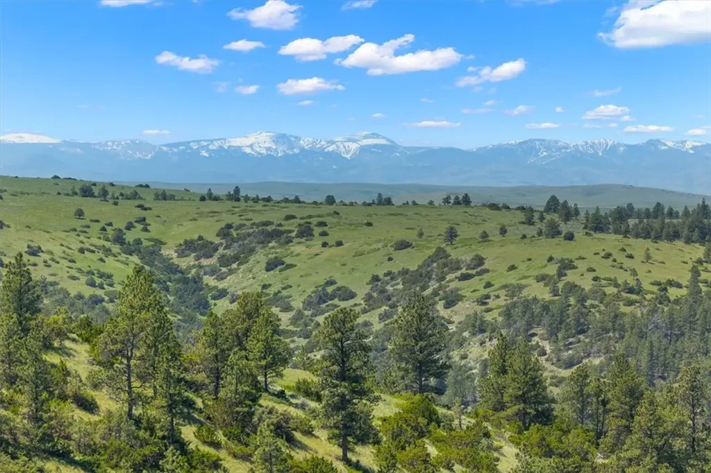 23 Beartooth Lane Columbus MT 59019