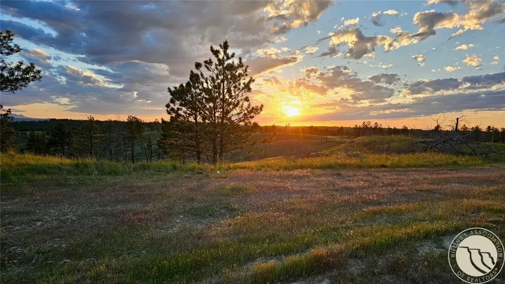 2168 Trophy Ridge Other MT 59471