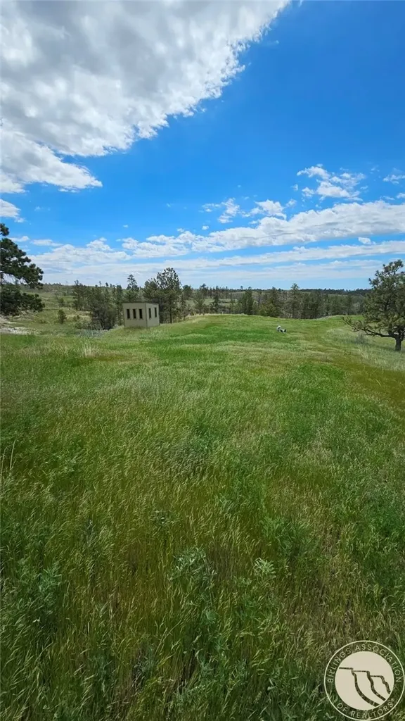 2168 Trophy Ridge Other MT 59471