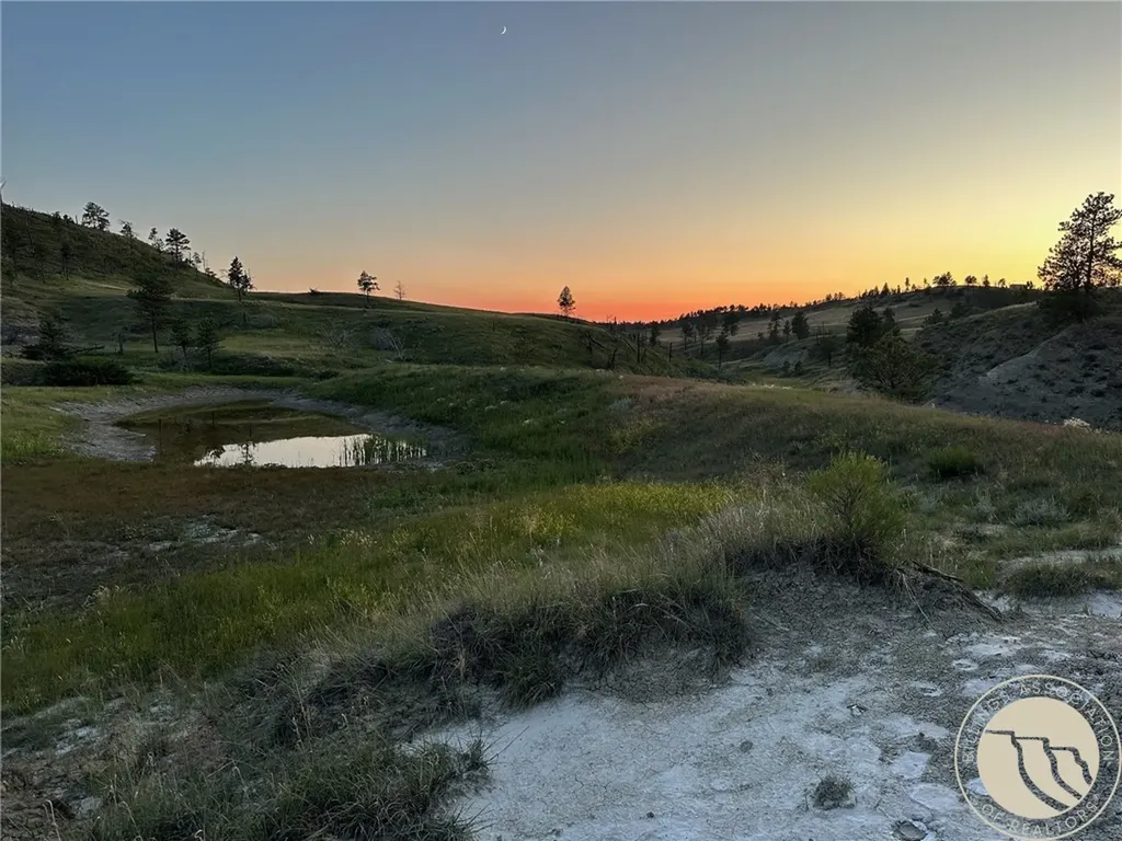 2168 Trophy Ridge Other MT 59471