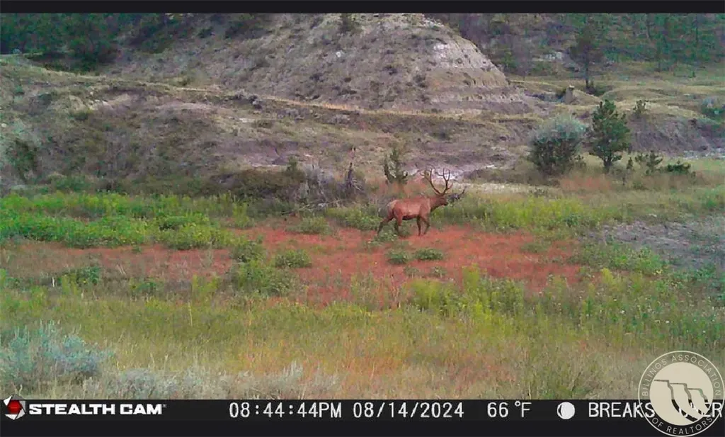 2168 Trophy Ridge Other MT 59471
