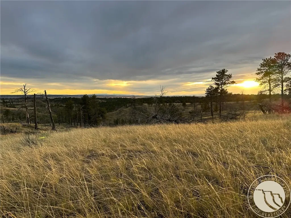 2168 Trophy Ridge Other MT 59471