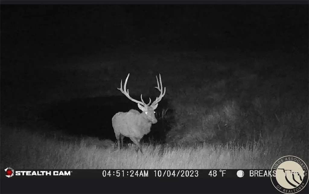 2168 Trophy Ridge Other MT 59471