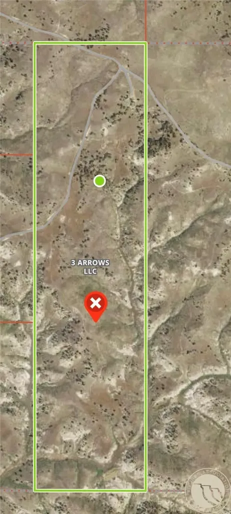 2168 Trophy Ridge Other MT 59471