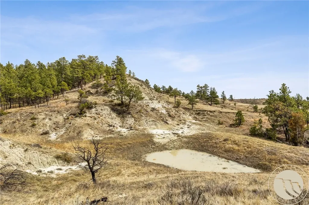 2168 Trophy Ridge Other MT 59471
