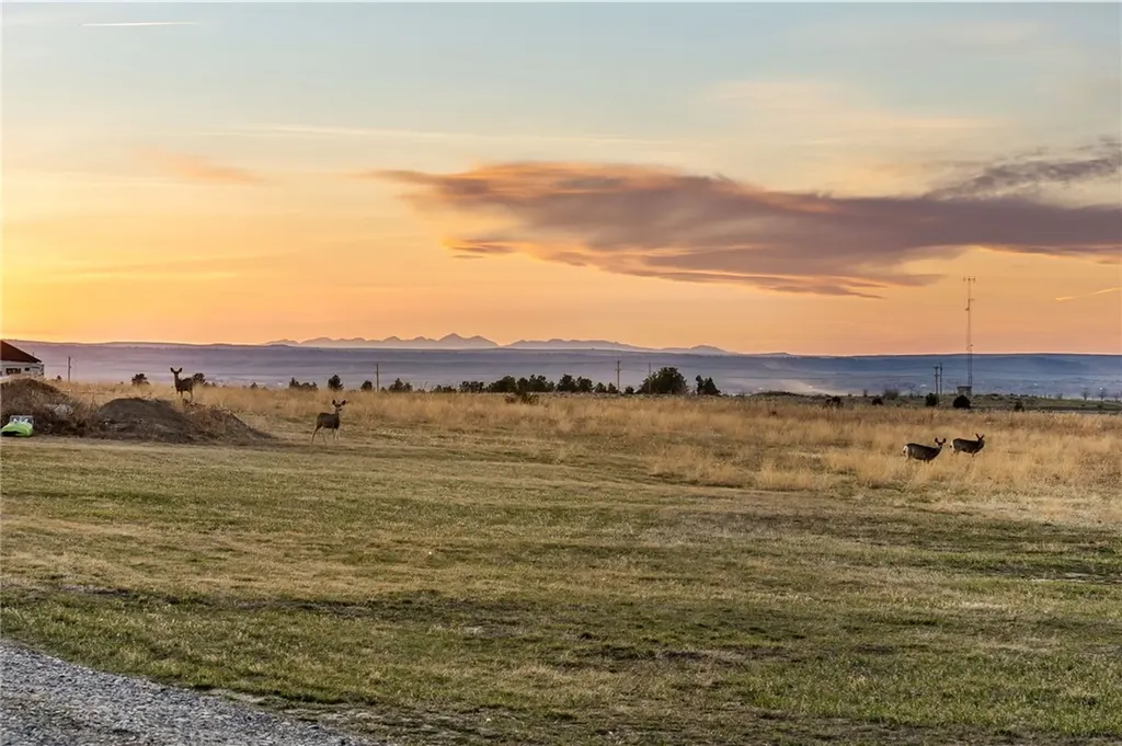 5385 Collier Road Billings MT 59101