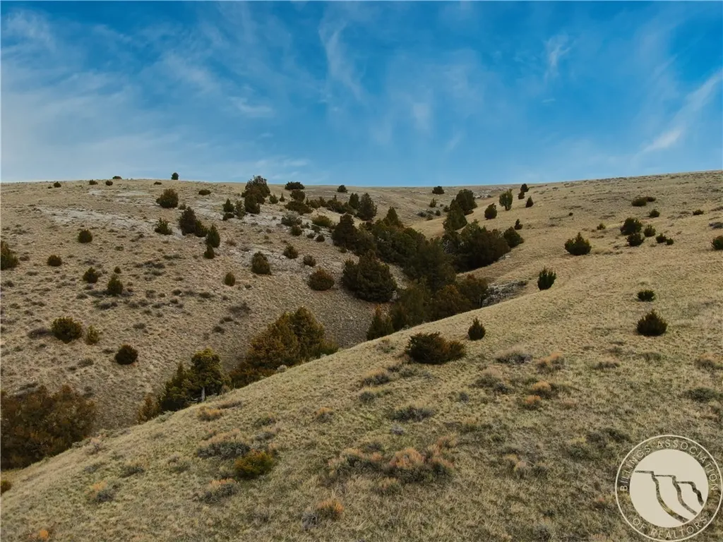 Tbd Horseshoe Gulch Road Other MT 59741
