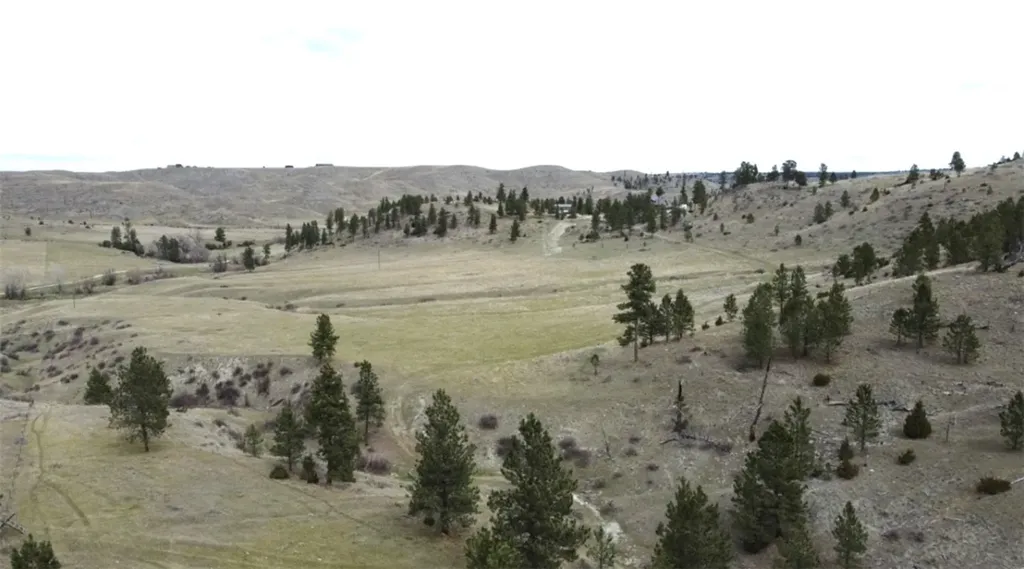 Lot 29 O'dare Drive Columbus MT 59019