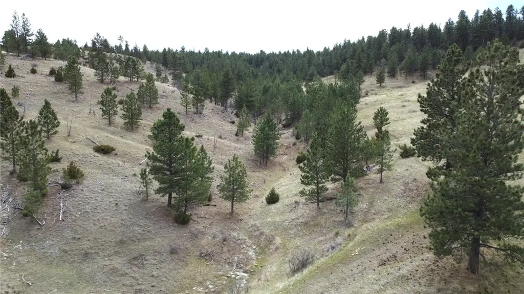 Lot 29 O'dare Drive Columbus MT 59019
