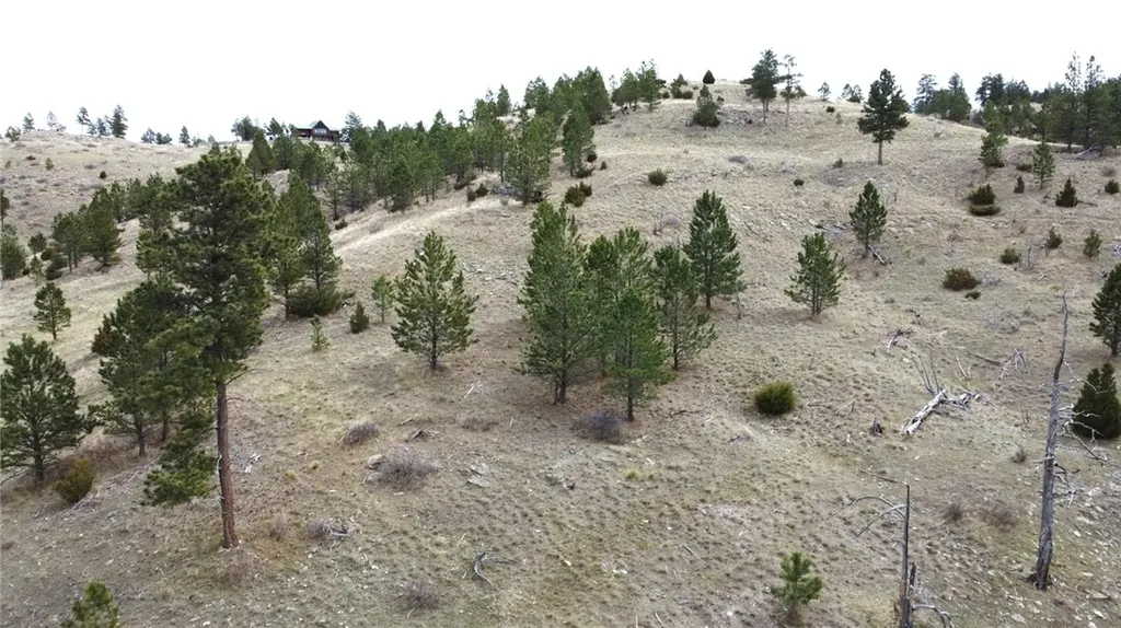 Lot 29 O'dare Drive Columbus MT 59019