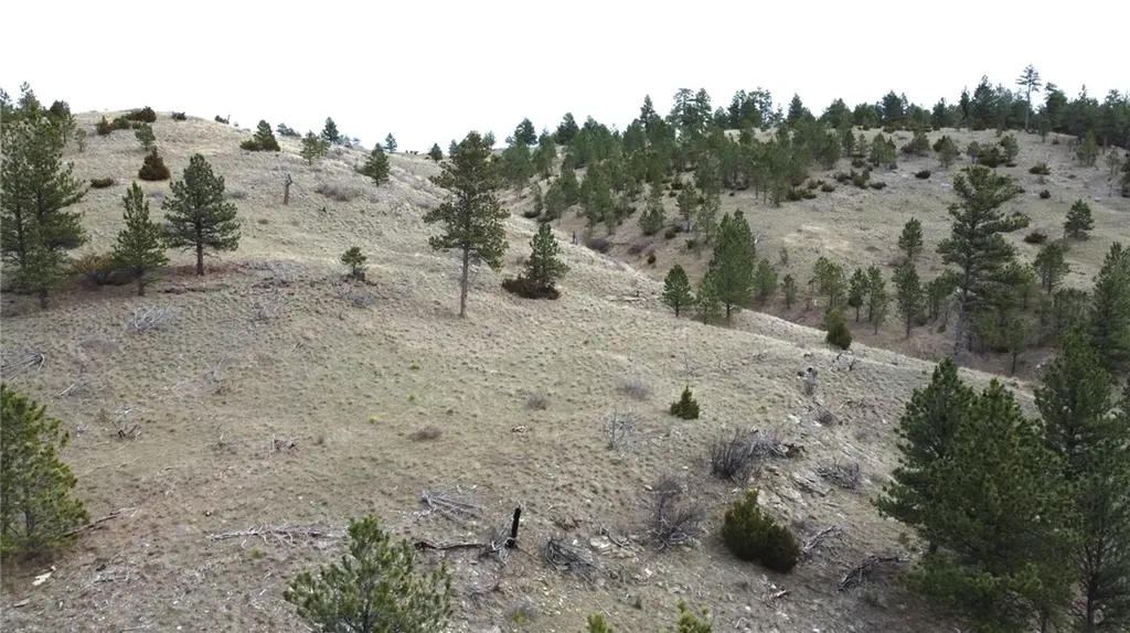 Lot 29 O'dare Drive Columbus MT 59019