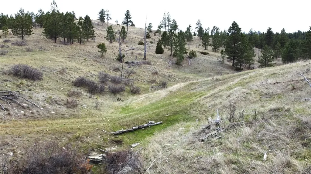 Lot 29 O'dare Drive Columbus MT 59019
