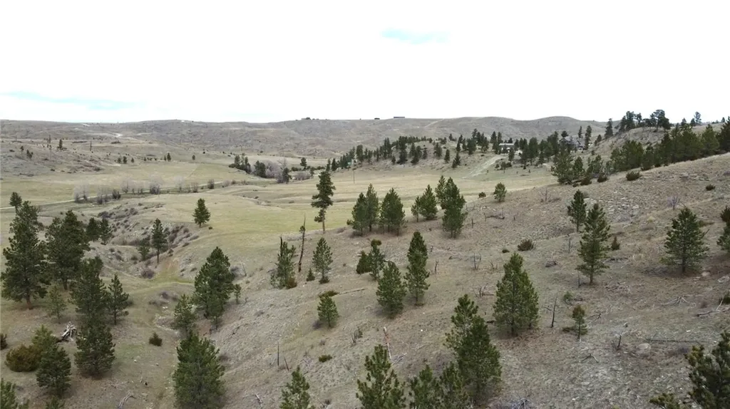 Lot 29 O'dare Drive Columbus MT 59019