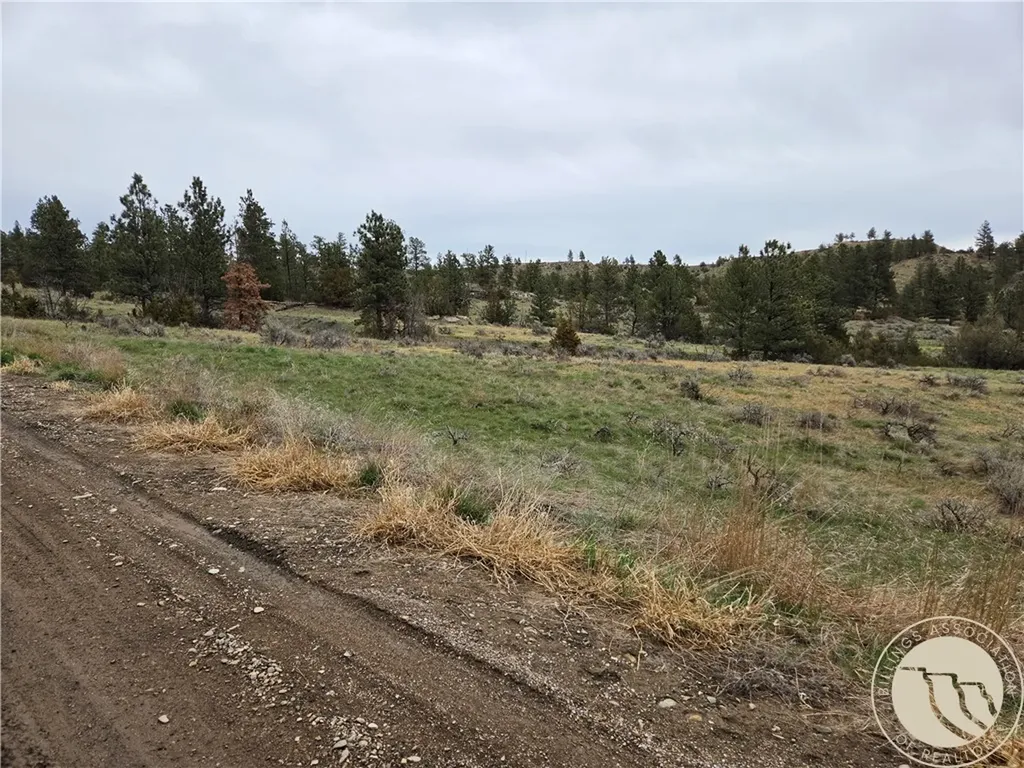 Lot 63 Starlight Drive Roundup MT 59072