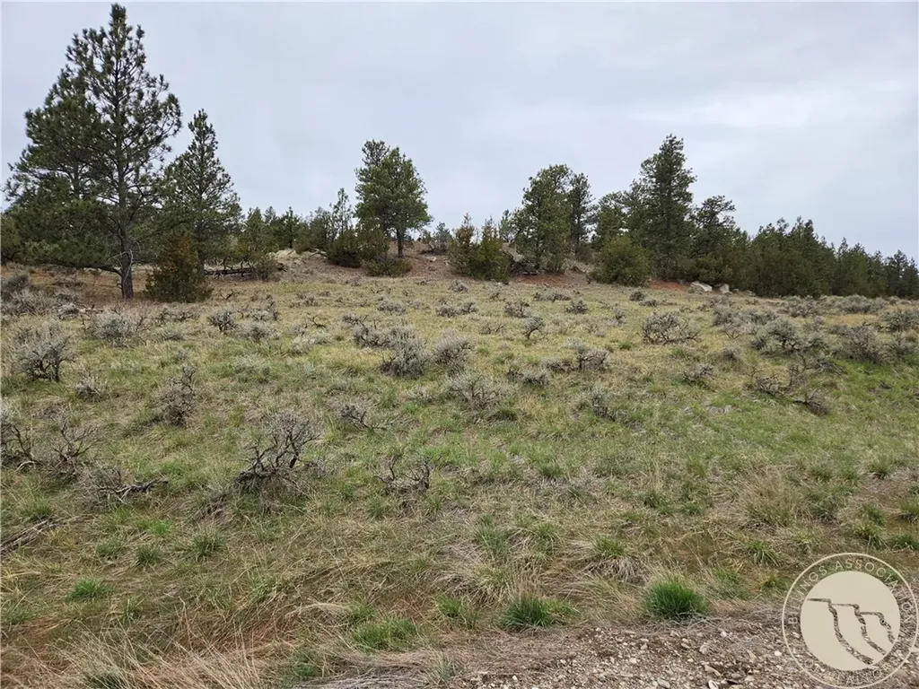 Lot 63 Starlight Drive Roundup MT 59072