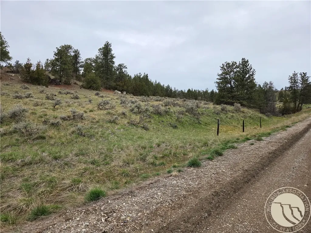 Lot 63 Starlight Drive Roundup MT 59072