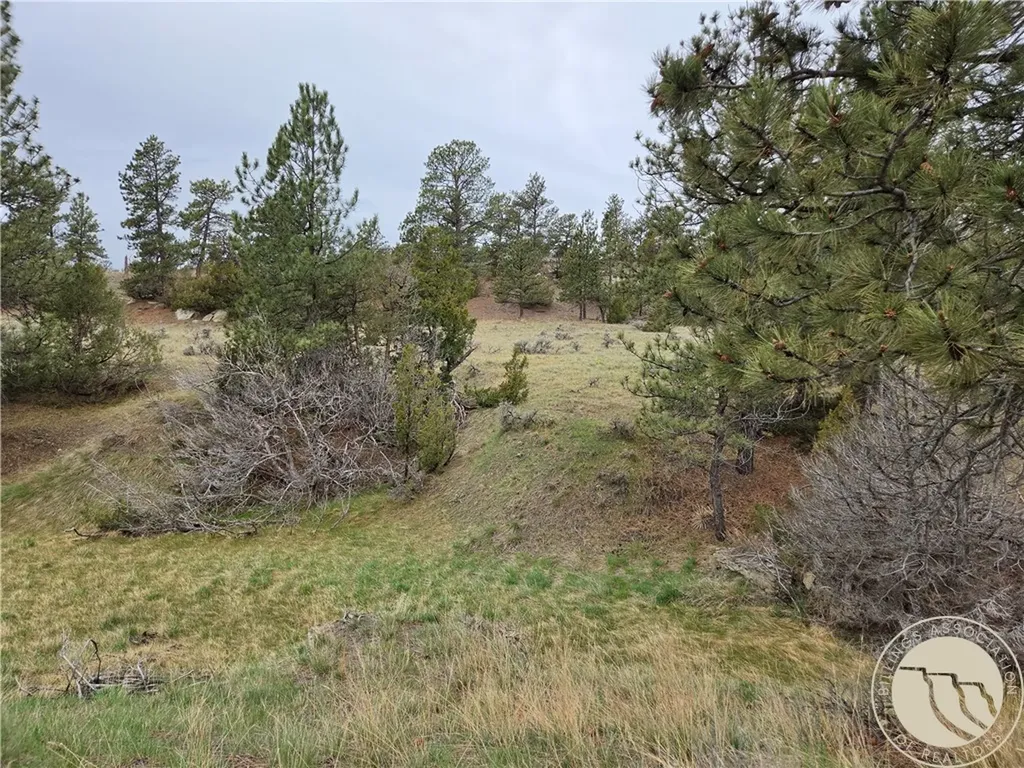 Lot 63 Starlight Drive Roundup MT 59072